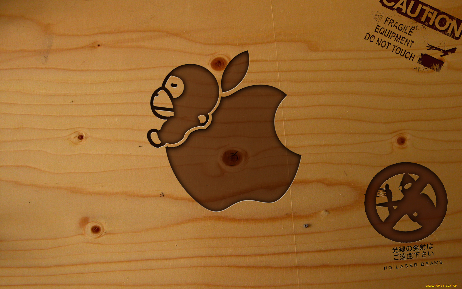 , apple